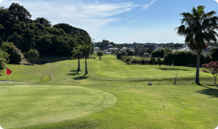 グリーンアリーナ 岬