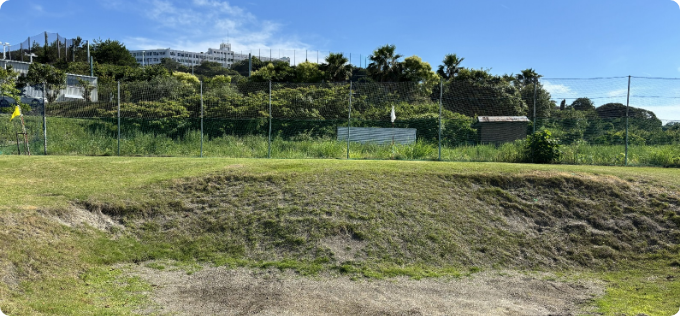 グリーンアリーナ 岬